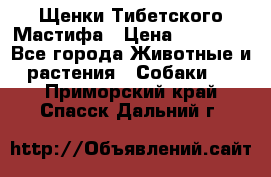 Щенки Тибетского Мастифа › Цена ­ 60 000 - Все города Животные и растения » Собаки   . Приморский край,Спасск-Дальний г.